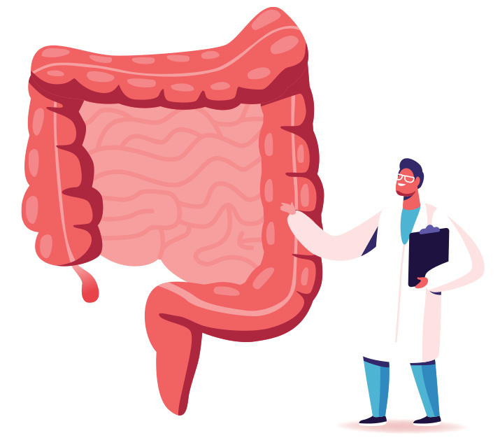 Illustration of a GI Tract being looked at by a Gastroenterologist