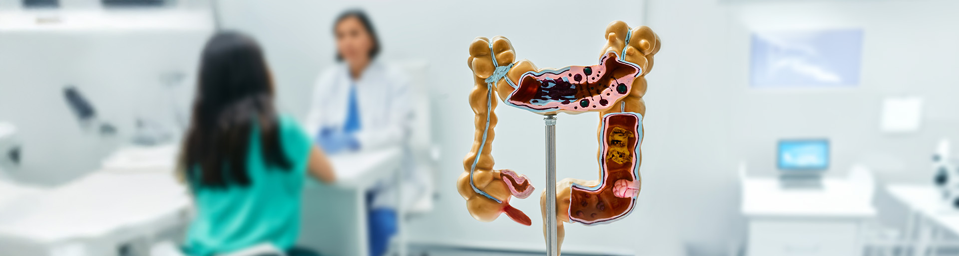 Inflammatory Bowel Disease Clinical Care Pathways
