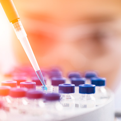 Researchers in their lab