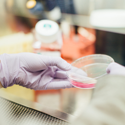 Provincial drug plans make ENTYVIO (vedolizumab) available to treat Crohn's and colitis